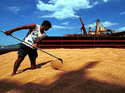 soybean-farming-brazil