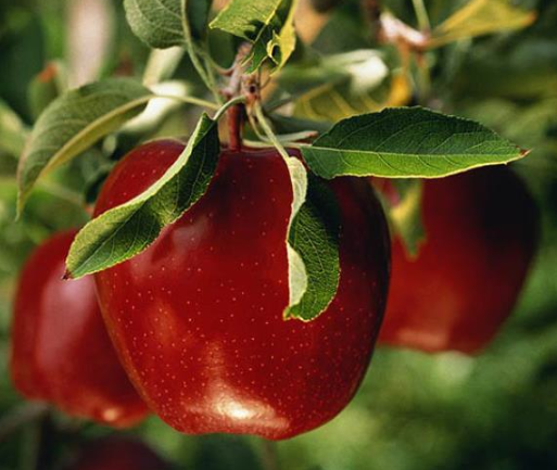 Screen Shot 2013-09-16 at 4.54.45 AM