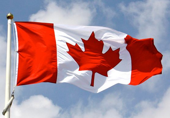 cdnflag