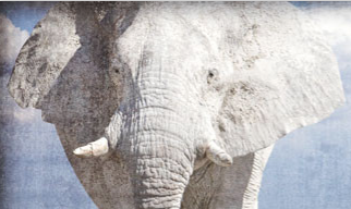 Screen Shot 2013-11-07 at 6.12.23 AM