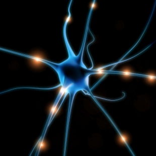 neuron