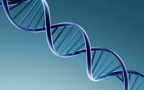bio