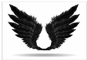 wings-black-small-107135717.jpg