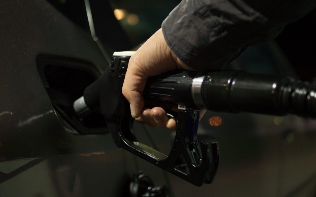 The BC Government Was Just Kidding…Right?