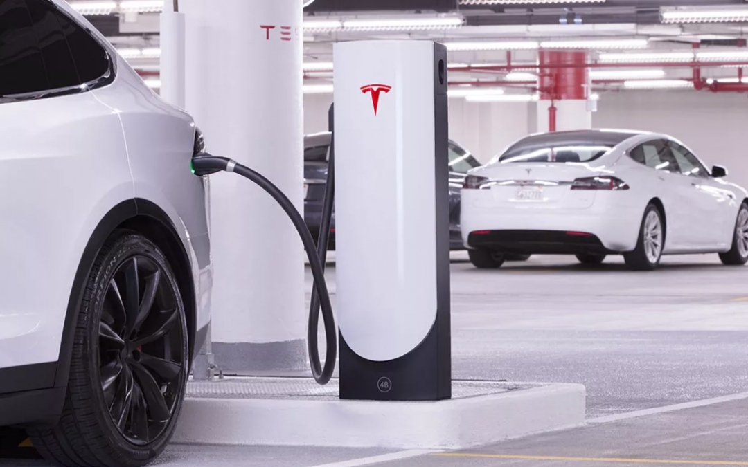 Tesla Discloses US Revenues Collapsed 39%