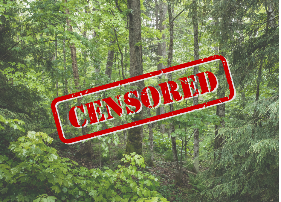 Complete Show – July 4th