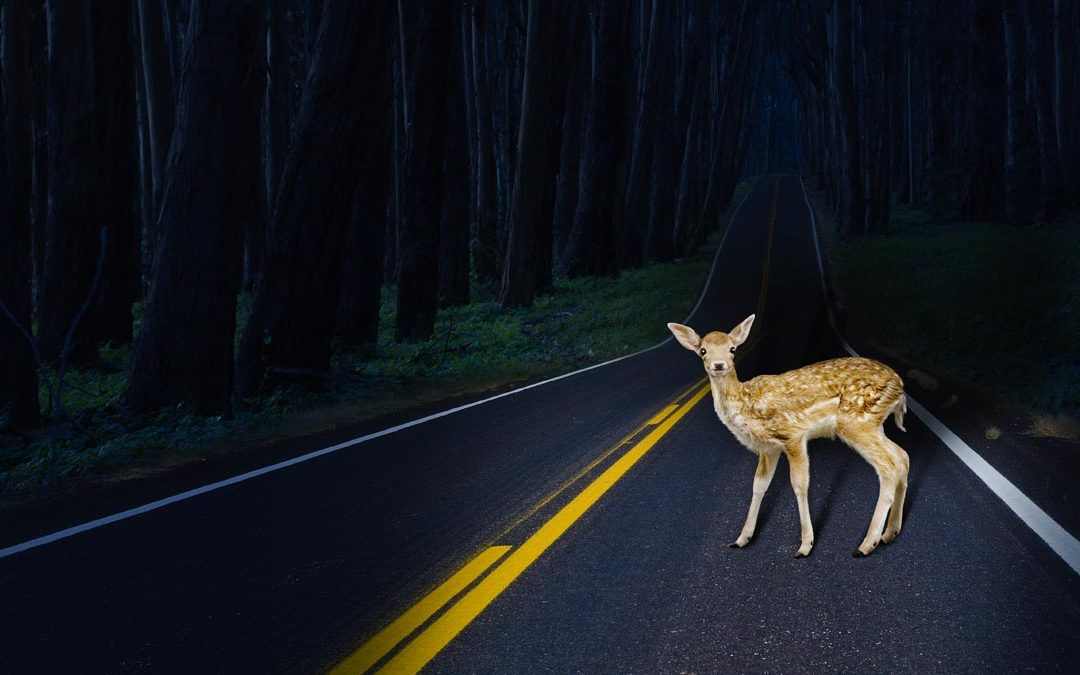 Who’s going to be the sucker?