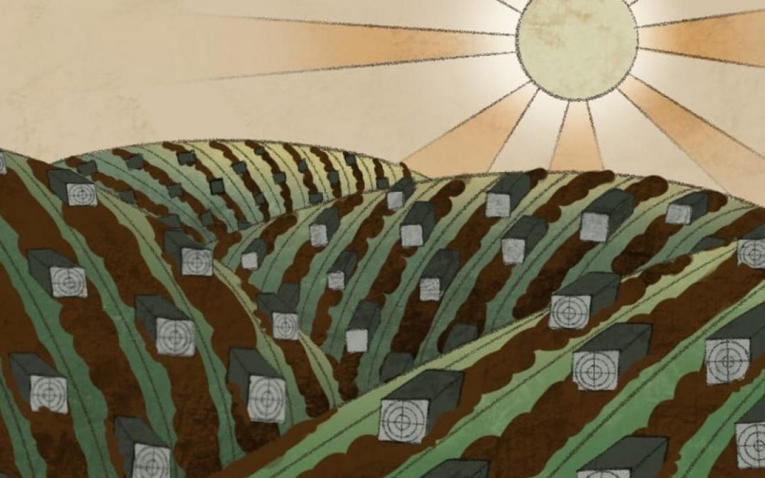 How Texas Is Becoming A Mecca For Bitcoin Miners