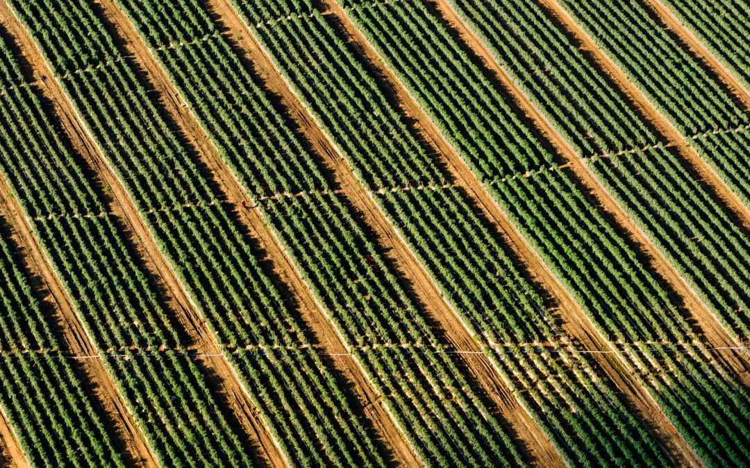 Global Stagflation Reminiscent Of The 1970s Is Forming, And It’s Bad News: National Bank