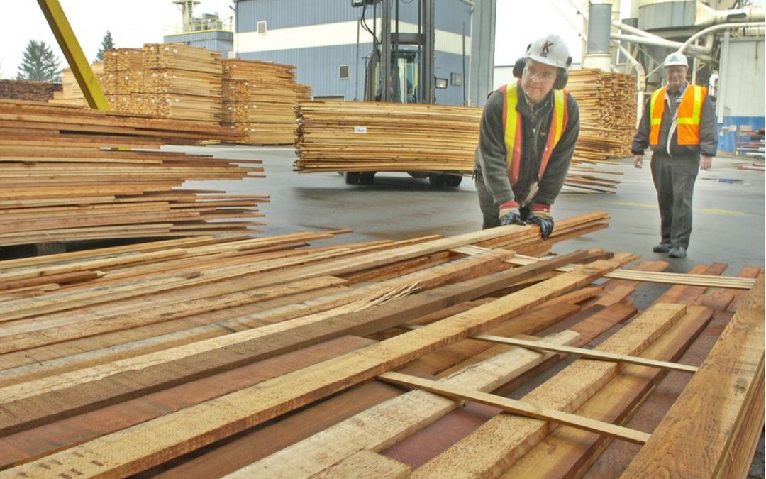 Expensive lumber makes a return amid supply cuts, labour shortages