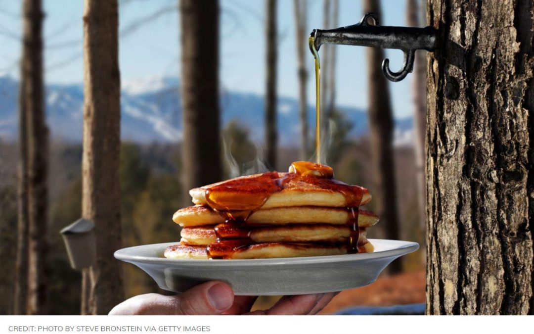 The OPEC of Maple Syrup Taps Its Stockpile to Make Sure Your Pancakes Are Covered
