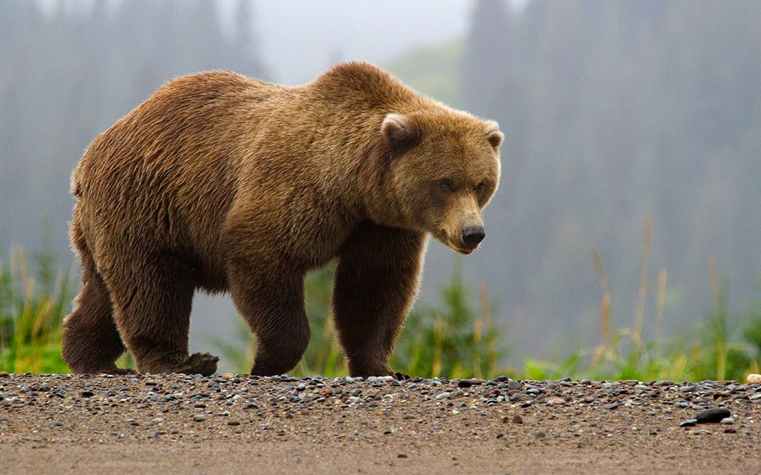 Trading Desk Notes For January 22, 2022