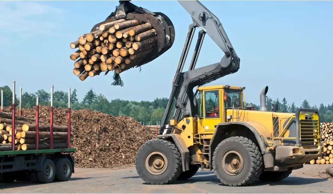 Lumber prices crash 30% in 2 weeks as rising mortgage rates take some heat out of US housing market